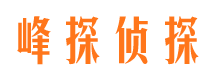 酉阳侦探社